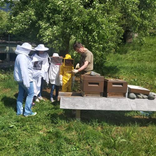 Besuch bei den Bienen