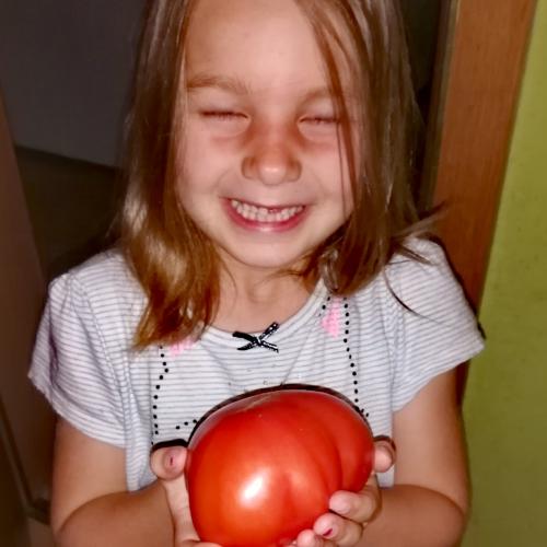 Wettbewerb: Wer hat die schwerste Tomate 